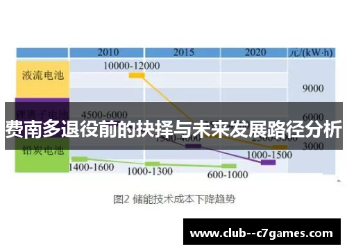 费南多退役前的抉择与未来发展路径分析 费南多退役前的抉择与未来发展路径分析
